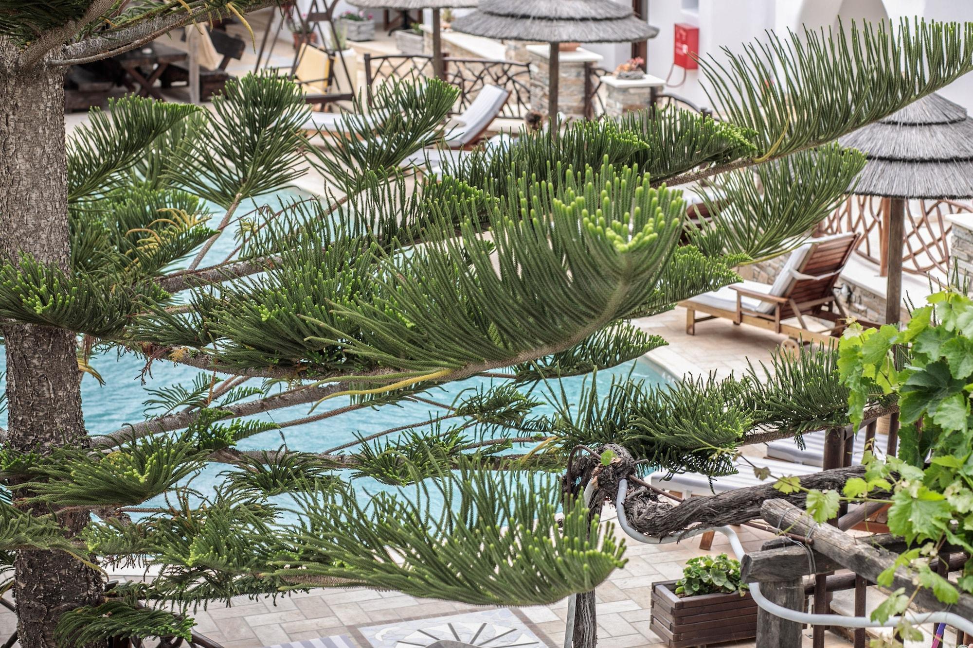 Anemomilos Beach Hotel Agia Anna  Esterno foto
