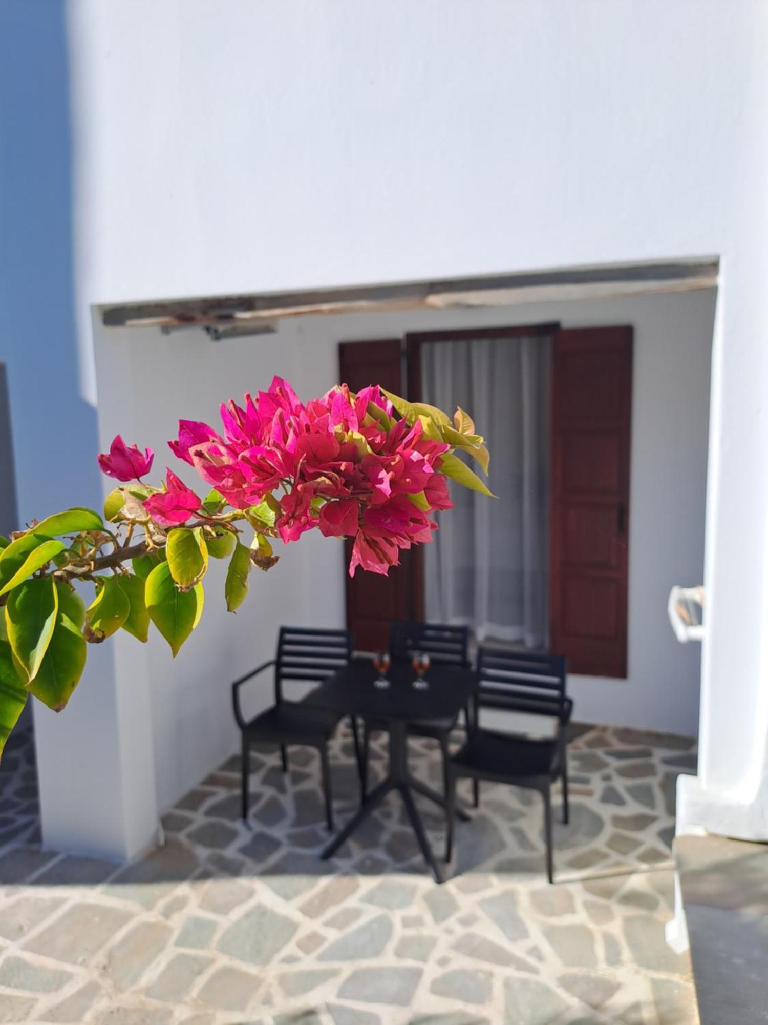 Anemomilos Beach Hotel Agia Anna  Esterno foto